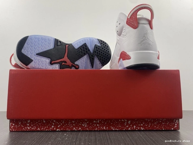 Rep Retro 6 Hare Jordan CT8529-162 0629